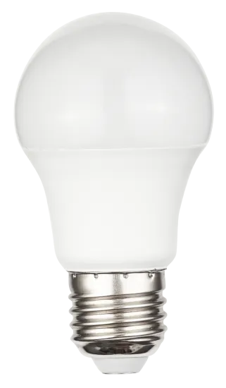 Two Year Warranty A55 LED Bulb