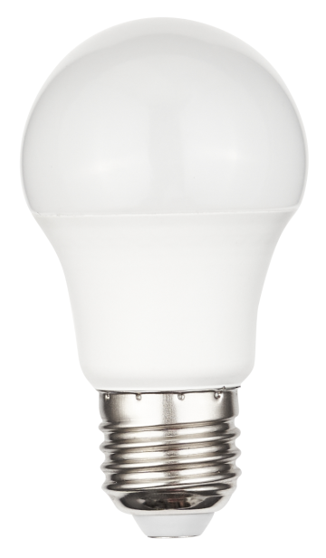 Two Year Warranty A55 LED Bulb