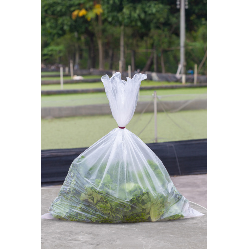 Big Size PE Plastic Dust bag