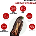 Strengthening Vital Energy Support Panax Ginseng Oral Liquid