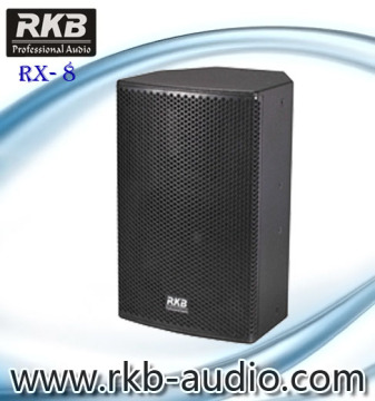 professional speaker