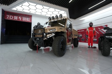 UTV Utility Vehicle for sale