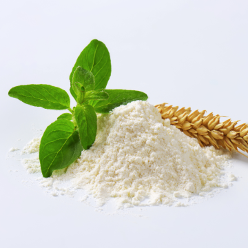 Food-Grade Fermented Wheat Germ Extract Powder 1% Spermidine