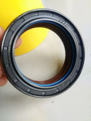 DMHUI Factory Directly Supplies COMBI SF19 Type 12036965B FPM Oil Seal for 370815