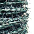 Green PVC Coated Barbed Wire
