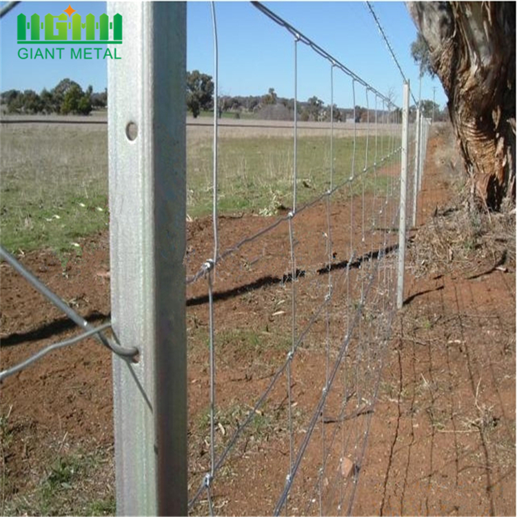 Popular Hinge Joint Farm Guard Field Fence