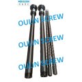 80mm Bimetallic Screw and Cylinder