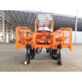 Tagrrm Hot Selling 2 Rader Sugarcane Planting Machine