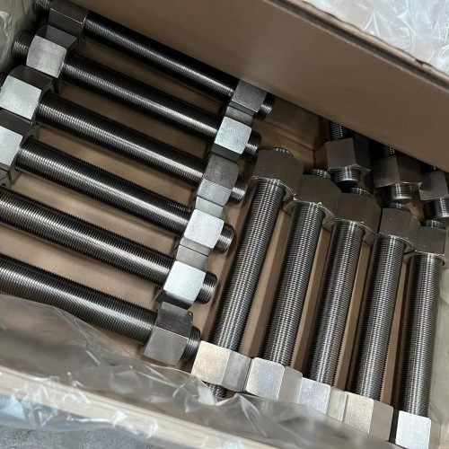 Parafusos e porcas de aço inoxidável DIN976