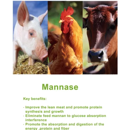Feed grade mannase to promoting feed digestion