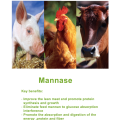 Nutrizyme® de qualité d&#39;alimentation β-mannase