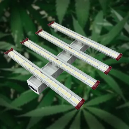 Top 600W COB Led Grow Light Samsung