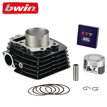 Bajaj Pulsar Cylinder Block and Piston Ring Kits