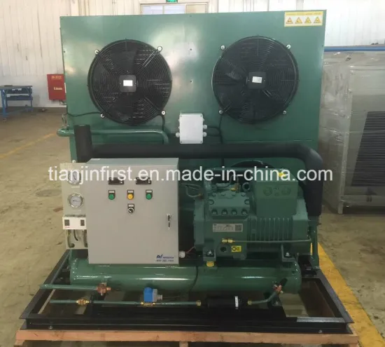 Cooling Compressor Condensing Unit for Cold Room/Cold Storage