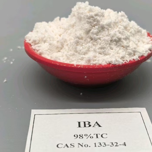 هرمون التجذير IBA - حمض الإندولبيوتريك