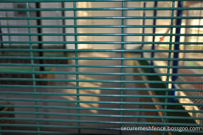 welded wire mesh fence