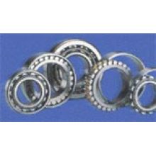 Cylindrical roller bearings