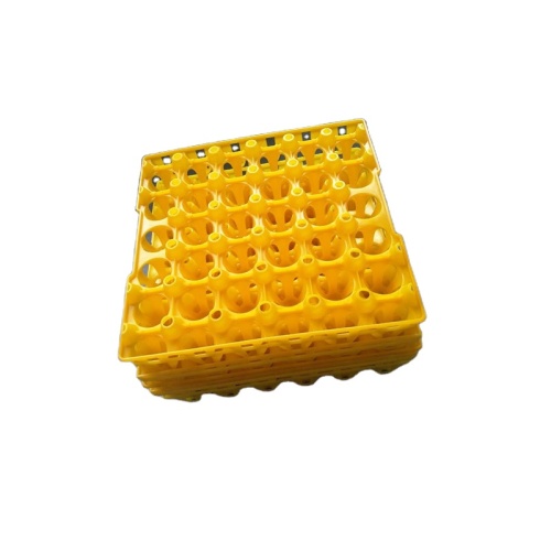 High quality new-design plastic egg tray injection mould