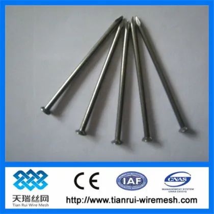 Nail/wire nail/common nails