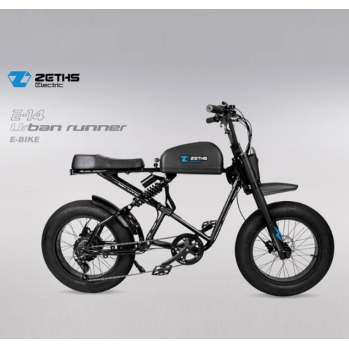 Smart electric bike para sa may sapat na gulang