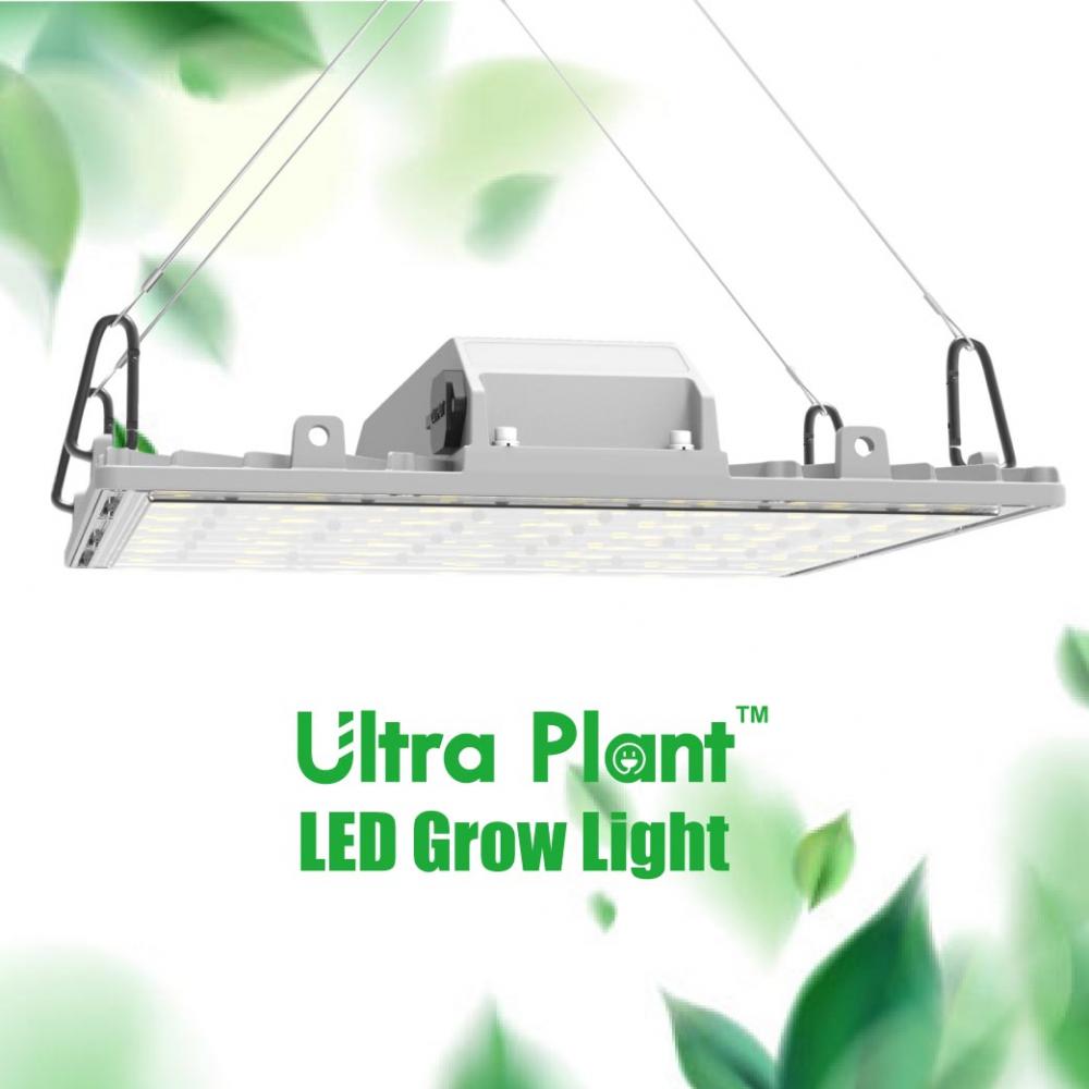 Agricultural greenhouses 150w grow light