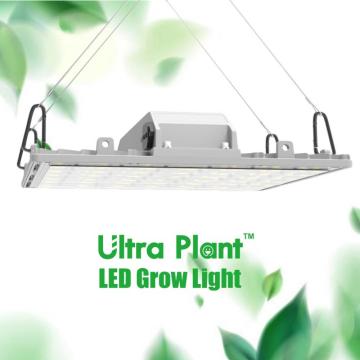 pannello led coltiva la luce pannello principale 200w