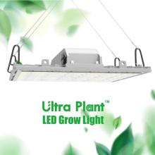 LED Grow Light Panel 200W LED-Panel