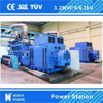 Large Power Plant Diesel / HFO Generator Low RPM