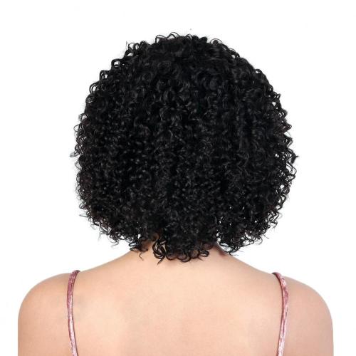 100% NATURAL HAIR LACE FRONT WIG