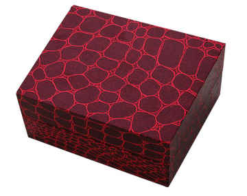 Custom luxury watch box