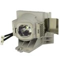 RLC-108 Replacement Projector Lamp with Housing