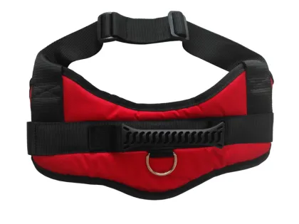 Classic super comfort reversible dog harness