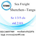 Consolidamento di LCL del porto di Shenzhen a Tanga