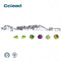 Vegetable Salad Processing Automatic Line