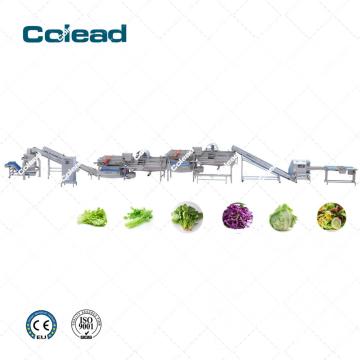 Procesamiento de ensaladas de vegetales Línea automática