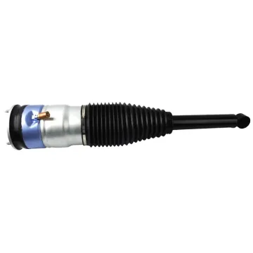 Rear Air Suspension Strut Shock Absorbers for Tesla Model X