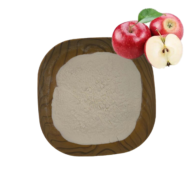 High Quality Apple Extract Powder