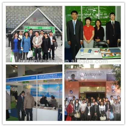 Calcium Hypochlorite bleaching powder