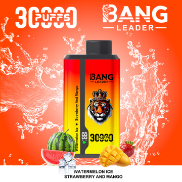 Bang Leader Denmark Wholesale 30k 5% Nic Vape
