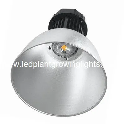 Bridgelux Long Life Led High Bay Lights 50w For Oil Fields , Coal Mines