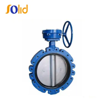 Flange Type Expansion Butterfly Valve Factory Price