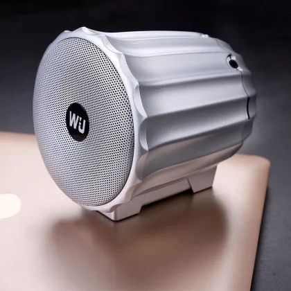 Rechargeable Wireless Bluetooth Speaker FM Radio/TF Card Speaker