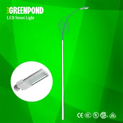 High Luminance Dual Arms LED Street Light