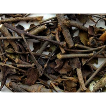 100% Natural Mistletoe Extract 4: 1