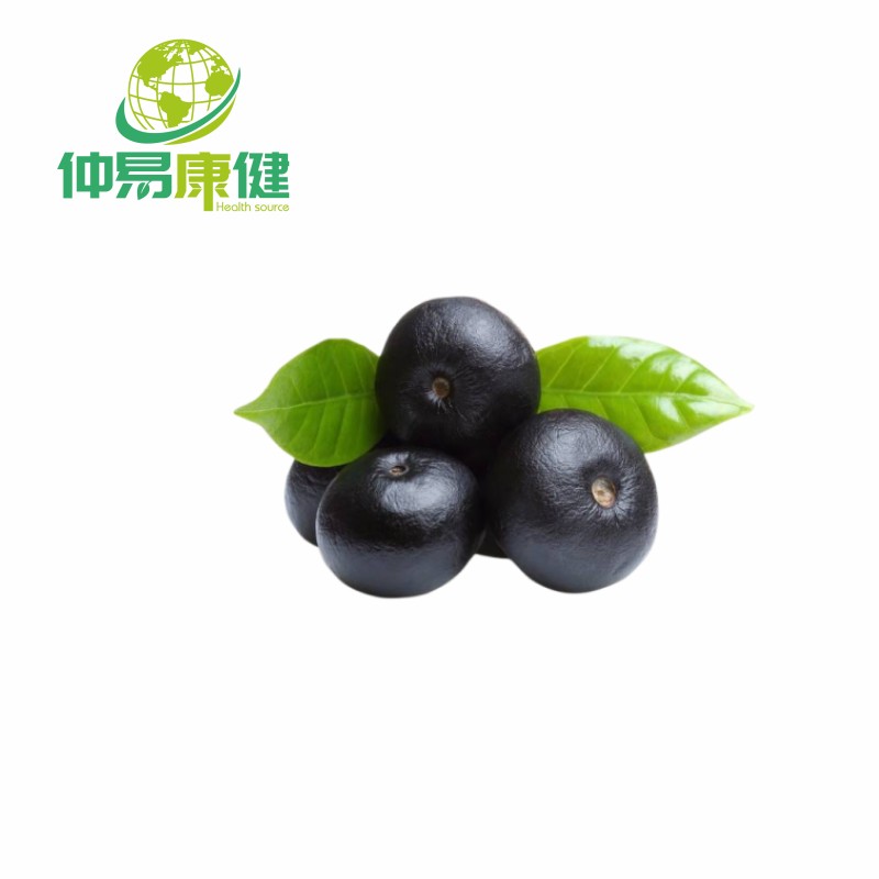 Acai Berry Extract Anthocyanins