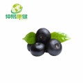 100% Natural Acai Berry Extract Anthocyanins