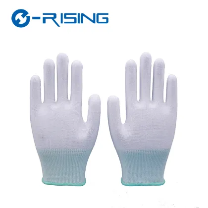 Thermal Fishing Gloves: Full Coated Pu Glove for Winter Cleanup