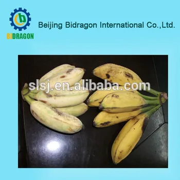 High quality banana Flour Processing machine