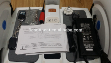 2015 Best Seller A6 Electric Personal Transporter Balance Scooter