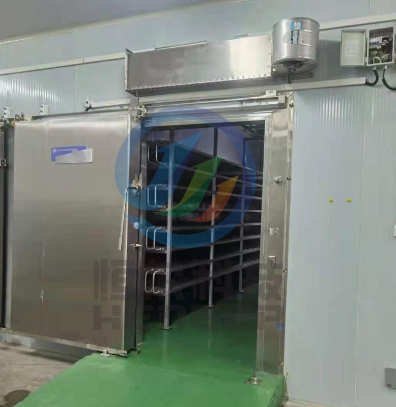 Best Price Meat Unfreezing Machine: Fish and Chicken Thawing Device